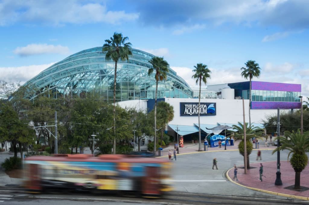 The Florida Aquarium Ticket (Admission)