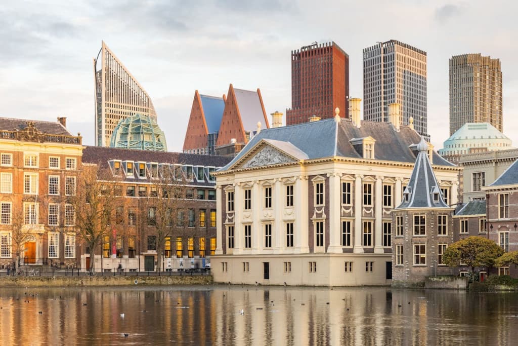 The Mauritshuis Museum Ticket (Admission)