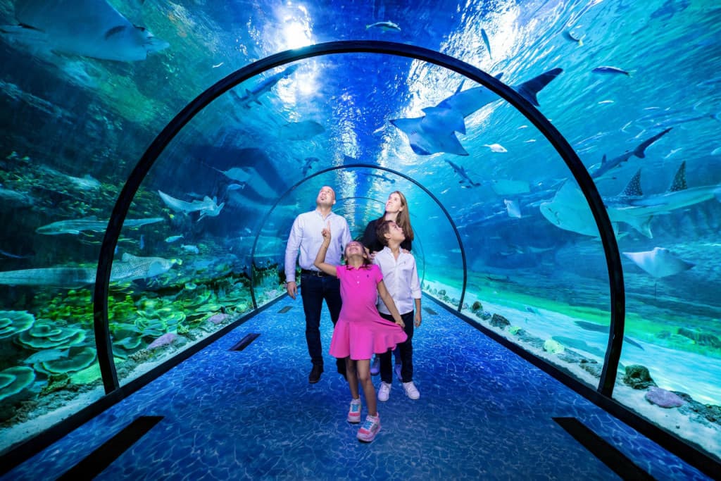 The National Aquarium Abu Dhabi Ticket (The National Aquarium Abu Dhabi - VIP Package for Five Persons)
