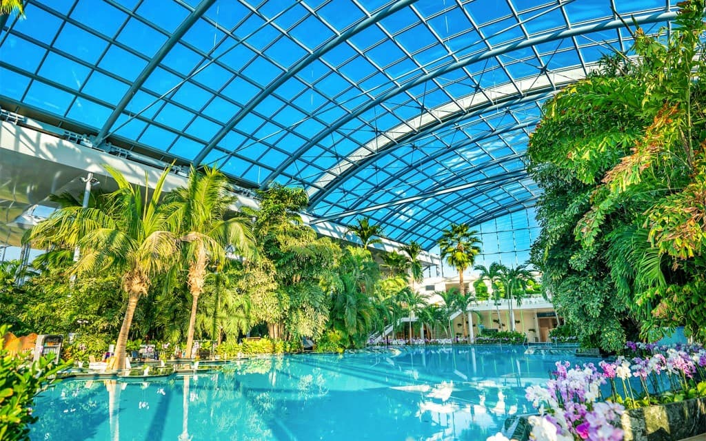 Therme Bucharest Entry Tickets with Transfers (1-Day Access to The Palm with Transfers)