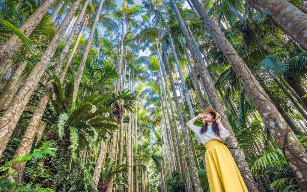 Tickets to Southeast Botanical Gardens (Southeast Botanical Gardens Admission Ticket)