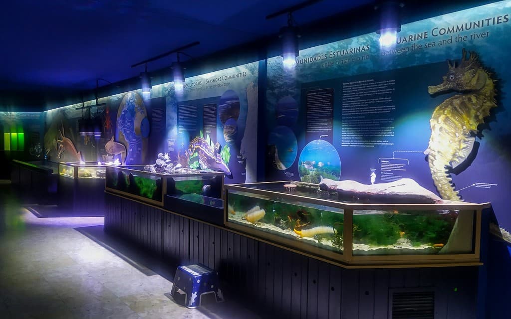 Tickets to Vasco da Gama Aquarium in Lisbon (Visit)
