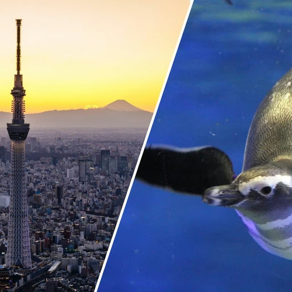 Tokyo Skytree Pass: Tokyo Skytree + Sumida Aquarium