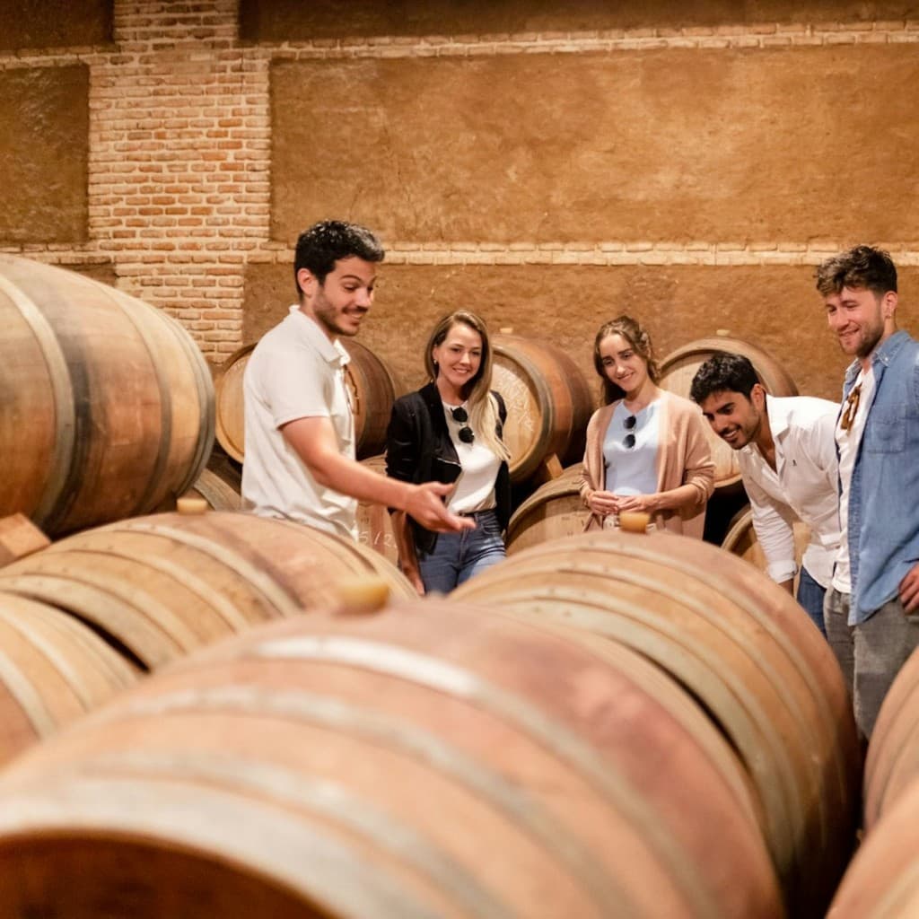 Toledo: City & Winery Tour from Madrid + Wine Tasting