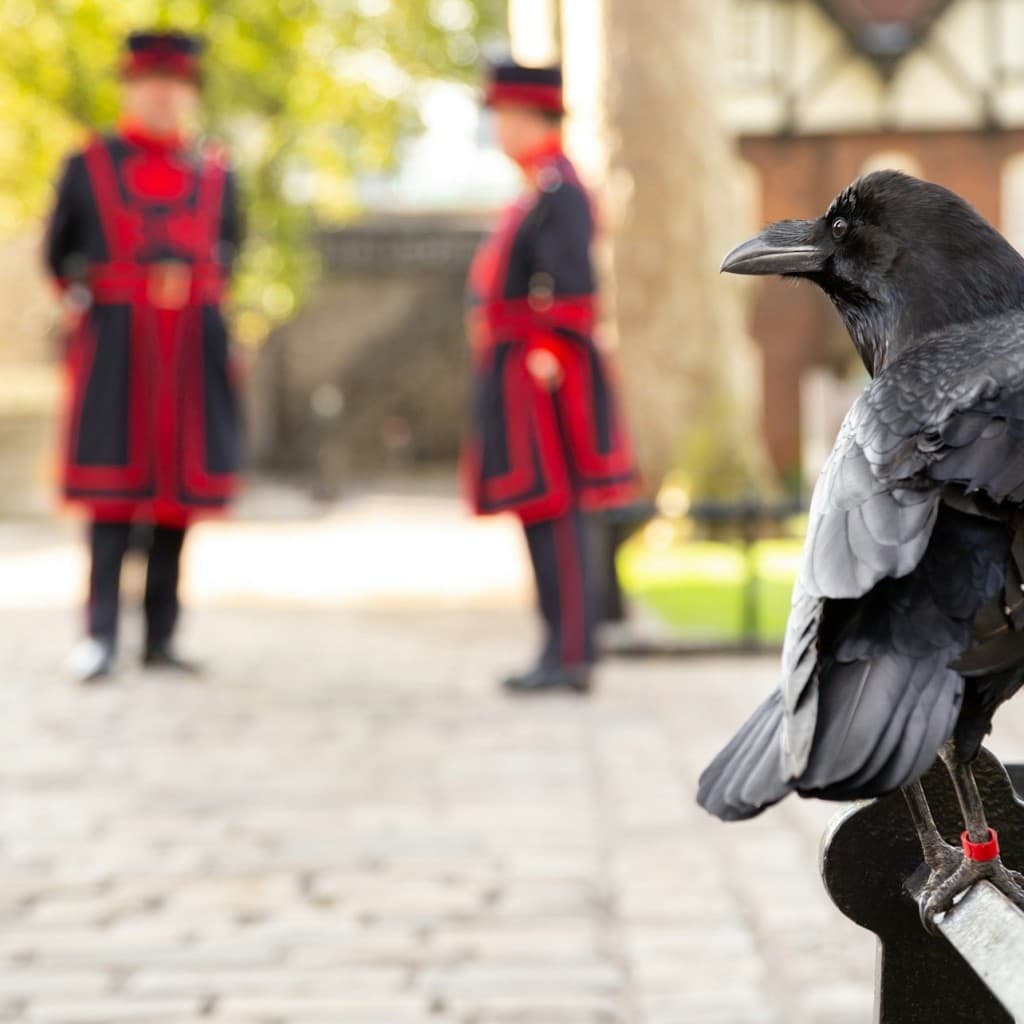 Tower of London: Guided Tour with a Beefeater