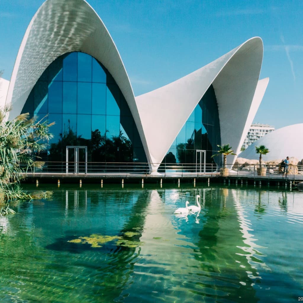 Valencia: Art & Science Pass