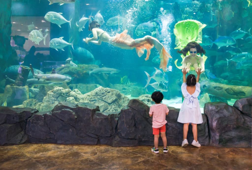Vinpearl Aquarium Times City Hanoi Ticket (Admission)