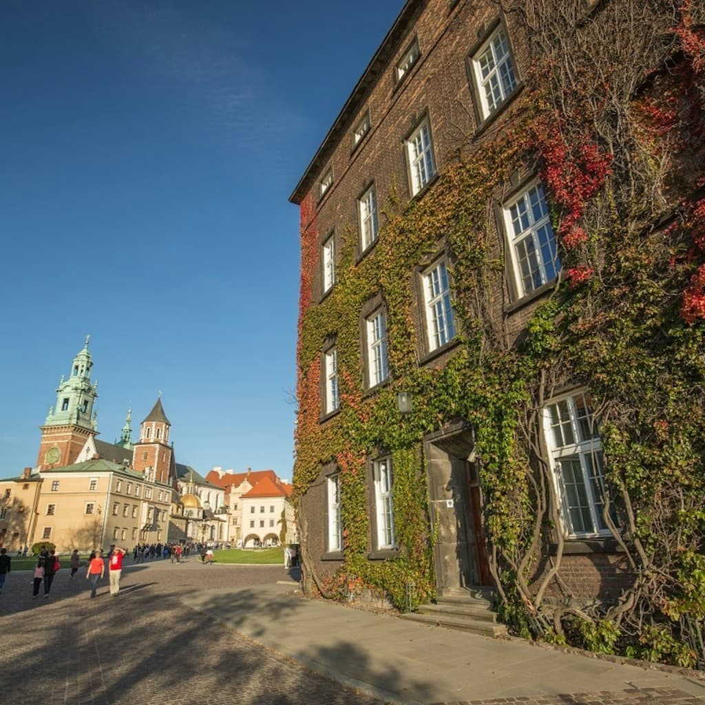 Wawel Castle, Cathedral & Rynek Krakow: Entry Ticket, Guided Tour + Lunch
