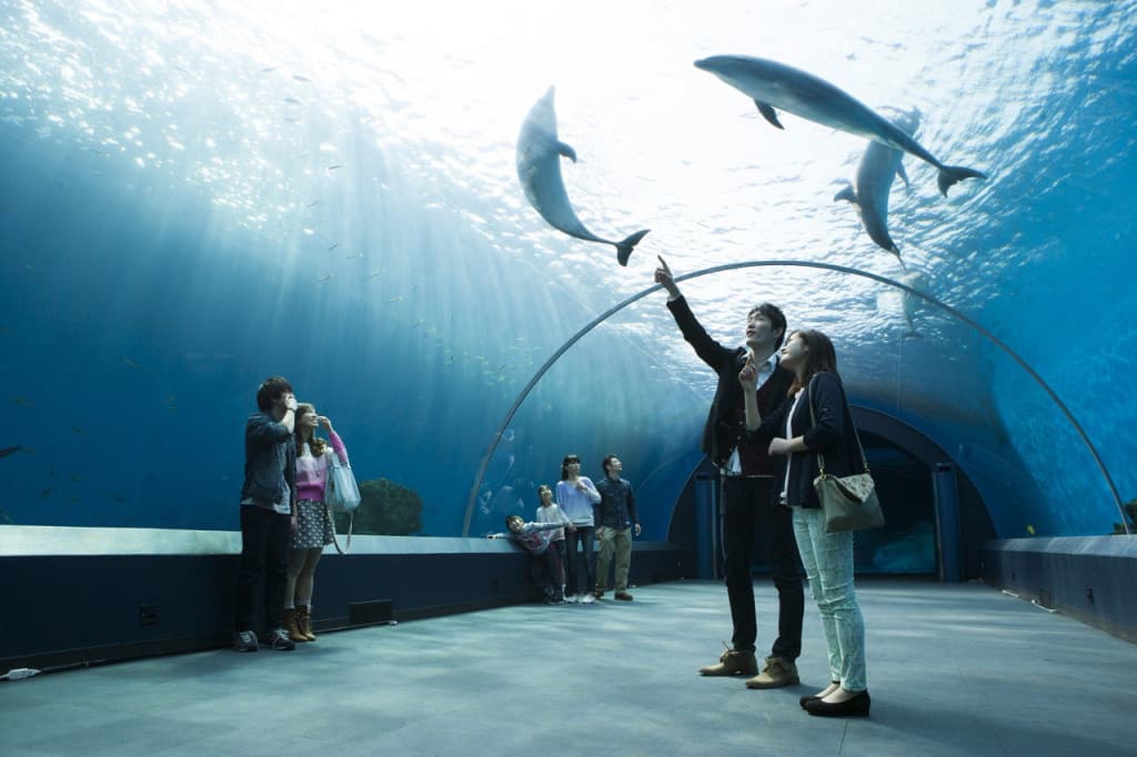 Yokohama Hakkeijima Sea Paradise Ticket (One Day Pass)