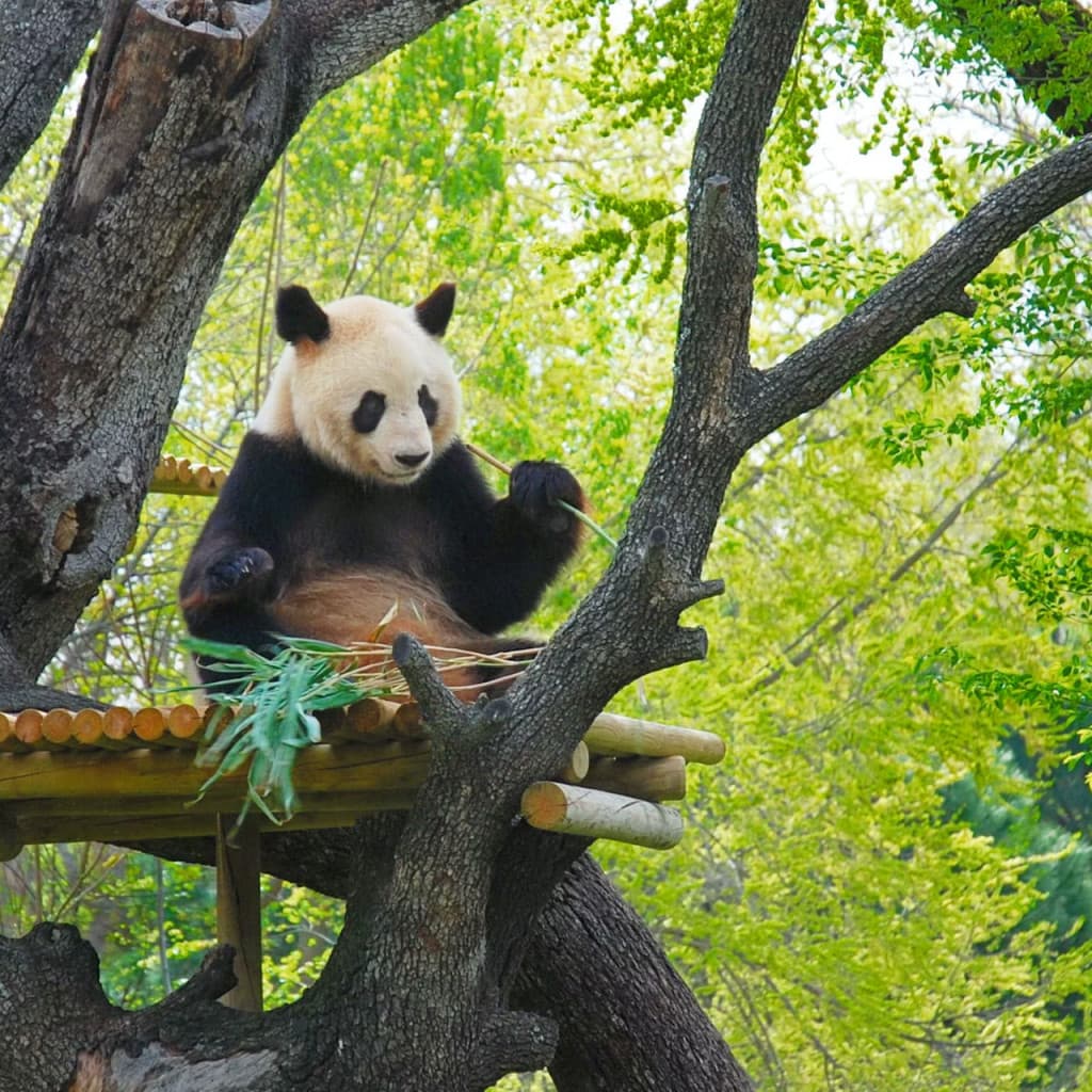 Zoo Aquarium Madrid (Zoo Aquarium Madrid - Skip the Line Admission)