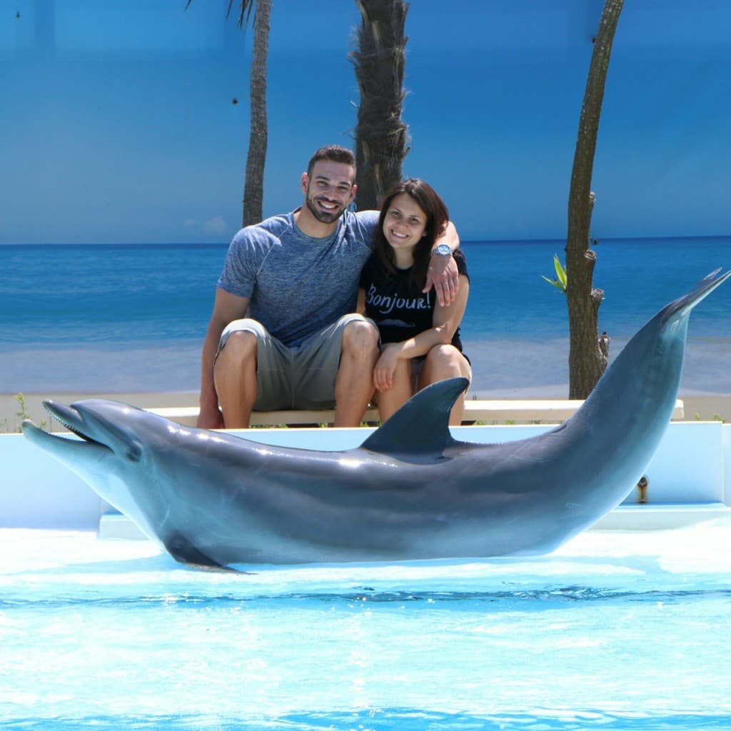 Zoomarine Roma: Reserved Entrance with Dolphins Experience